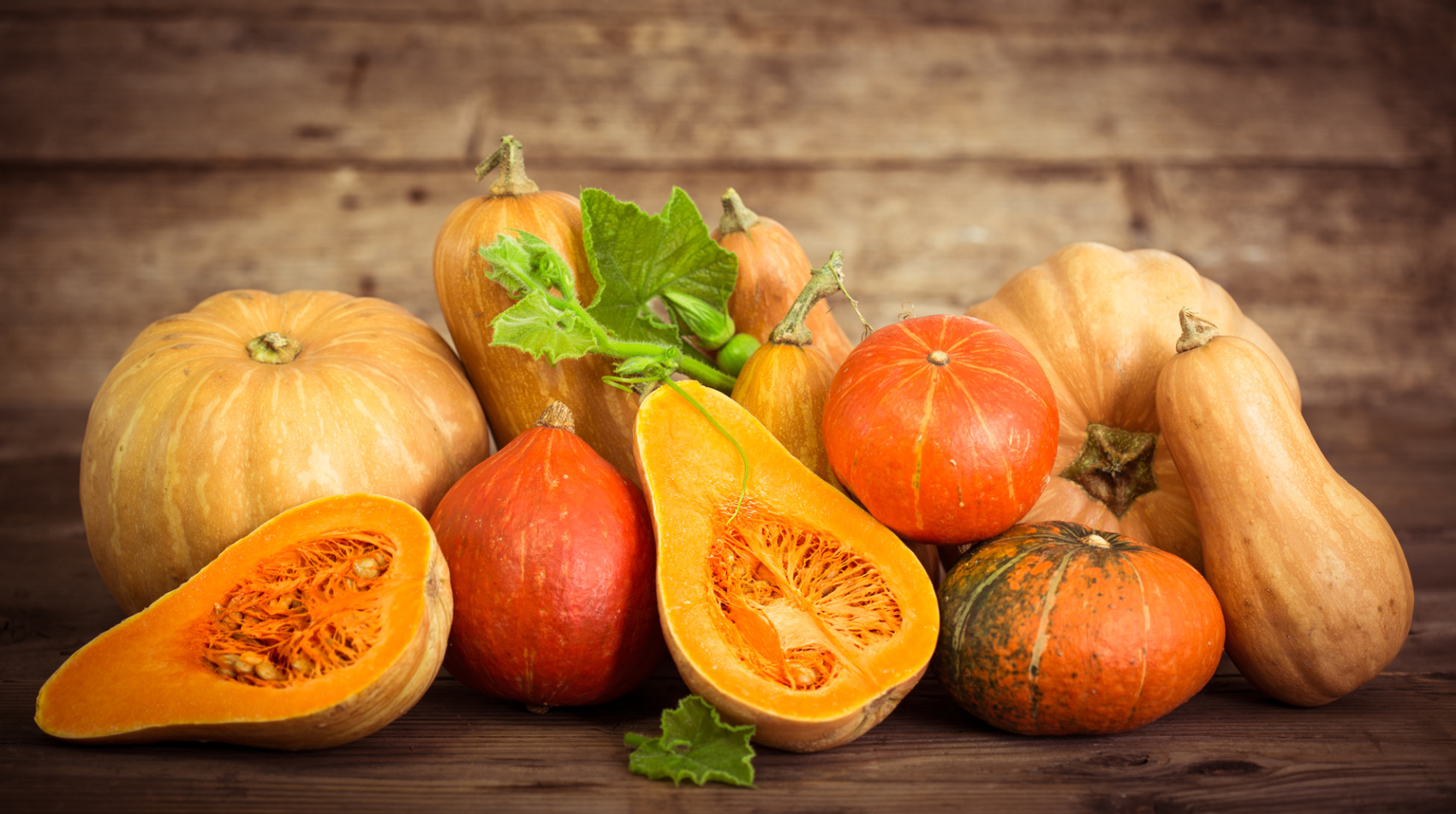 zucca