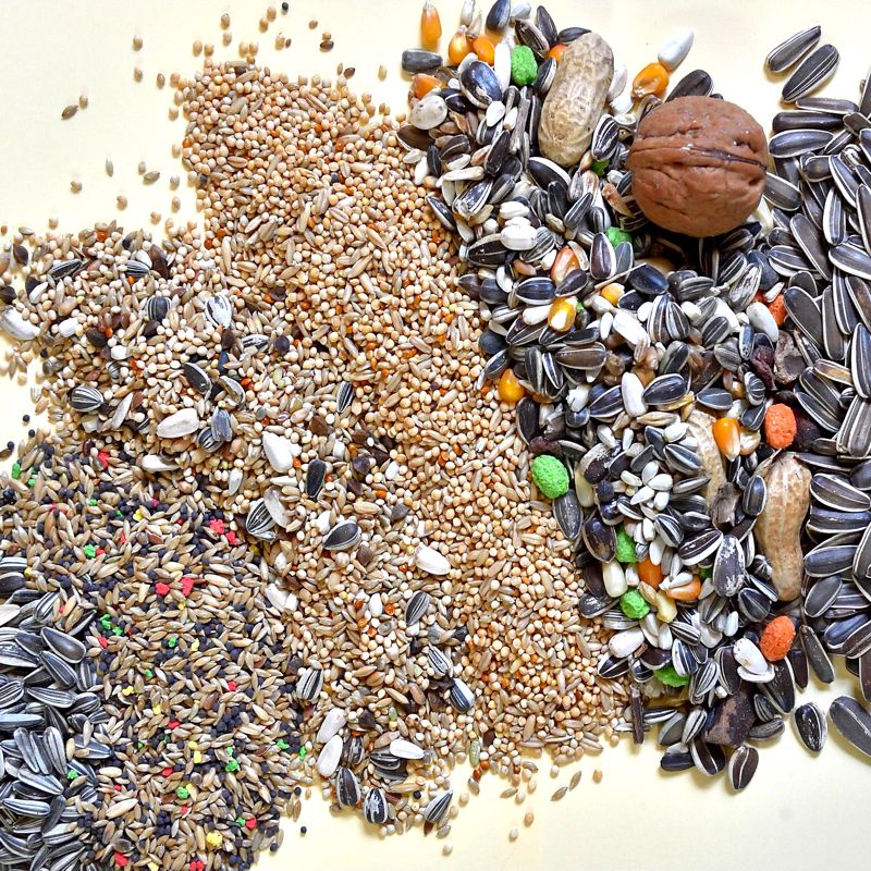 cereali di ogni tipo per ornitologia dal Molino Ballesio Torino